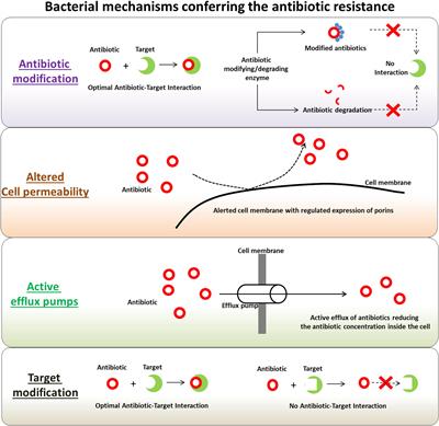 Combating Drug-Resistant Bacteria Using Photothermally Active Nanomaterials: A Perspective Review